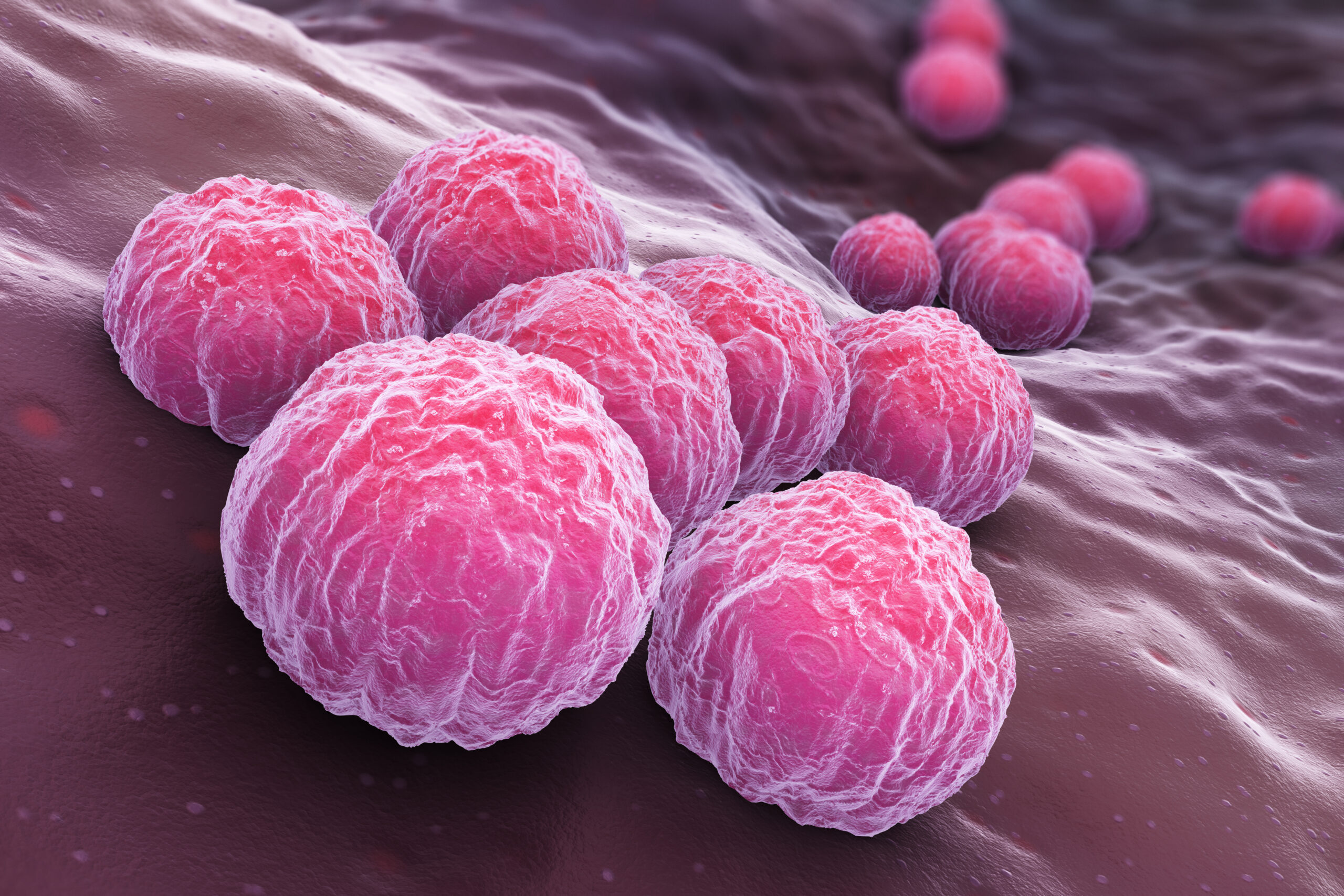 chlamydia-bacteria-2026-03-13-05-41-13-utc