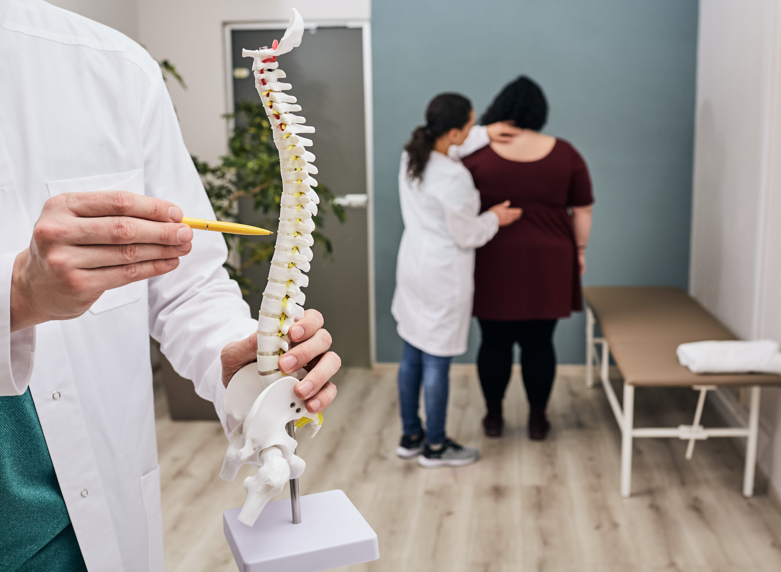Back pain treatment. Physiotherapist using spine anatomical model to analyze patient spine problem areas
